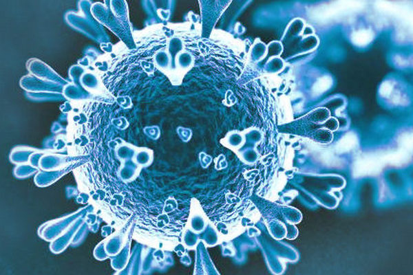 Innovative Diagnostics ID SARS-CoV-2 / Influenza Triplex RT-PCR Image